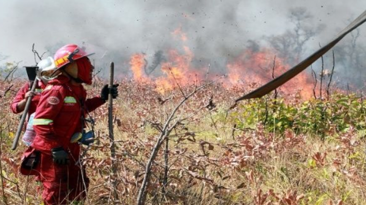 Incendios forestales en la Chiquitanía. Foto: ABI.