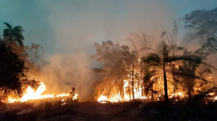 Incendios en la Chiquitanía. Foto: La República.