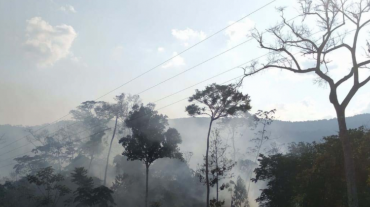 El incendio fue controlado en el Parque Madidi. Foto: Sernap/ Madidi.