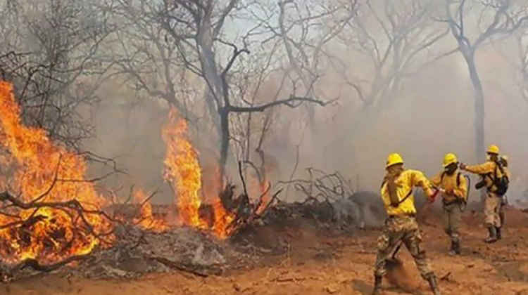 Incendios forestales. Foto: Min. Defensa