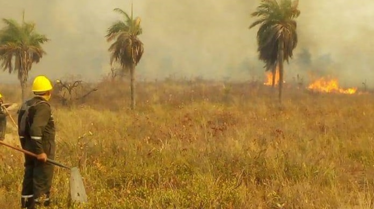Persisten los incendios en la Chiquitanía Foto: RRSS.
