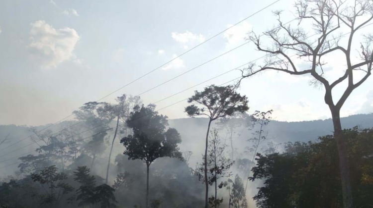 El incendio que amenaza el Madidi. Foto: Sernap/ Madidi.