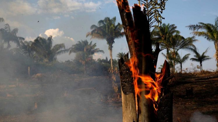 Incendio forestal en la Chiquitanía. Foto: El Alto es noticia