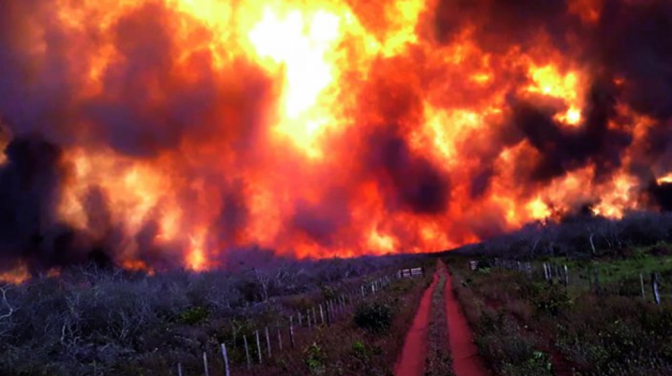 Incendios forestales en la frontera Paraguay-Bolivia. Foto: Última Hora.
