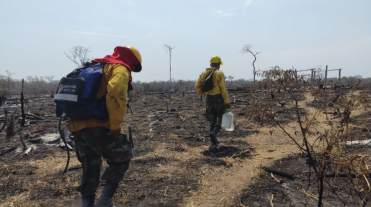 Terreno quemado en el municipio Roboré. Foto: Mongabay.