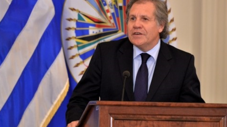 Luis Almagro, secretario General de la OEA. Foto: OEA.