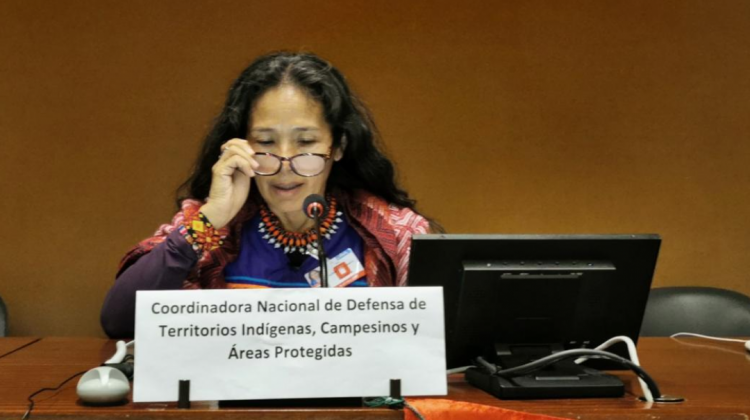 Ruth Alípaz Cuqui, vocera de la delegación de la sociedad boliviana ante la ONU . Foto: ADHMA