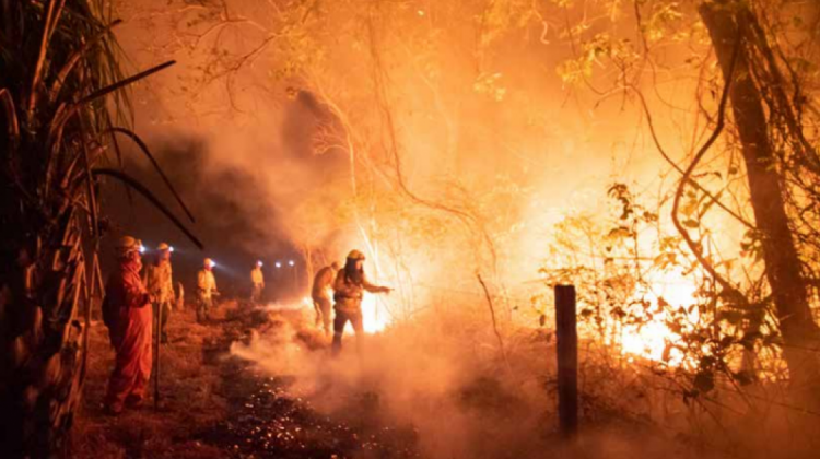 Fuegos descontrolados en la Chiquitanía entre agoto y septiembre de 2019. Foto: Fundación Tierra.