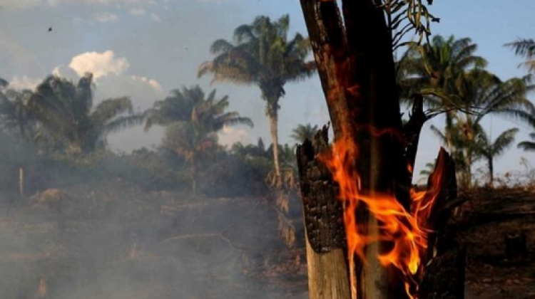 Incendio forestal en la Chiquitanía. Foto: El Alto es noticia.