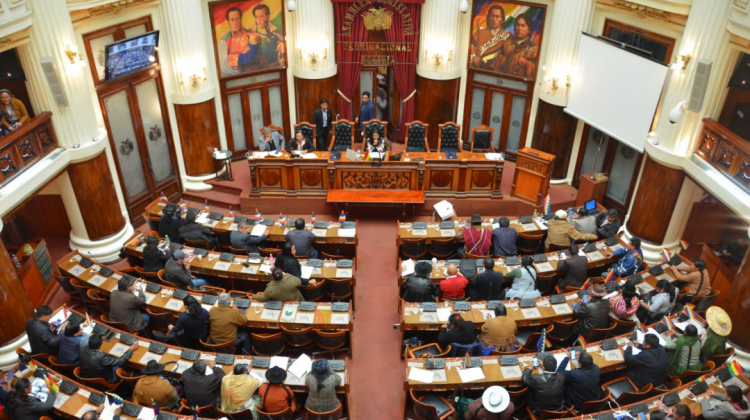 Pleno de la Asamblea Legislativa Plurinacional. Foto: Cortesía