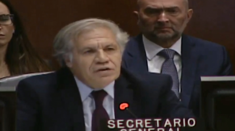 El secretario general de la OEA, Luis Almagro. Foto: Captura de pantalla/OEA.