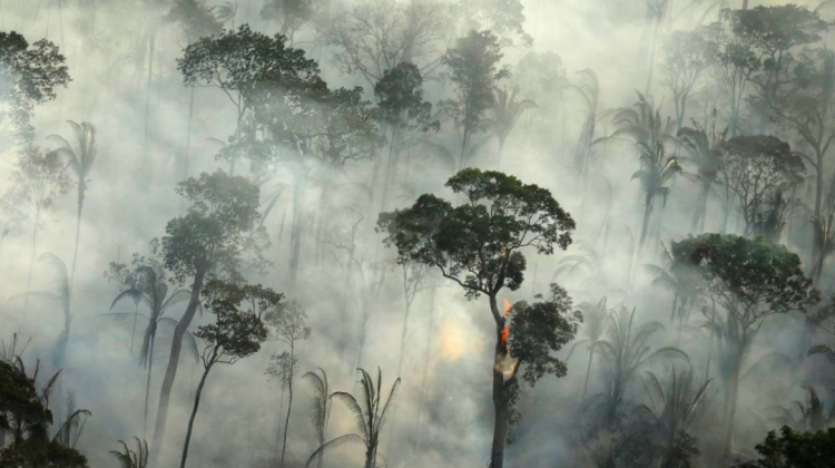 Los incendios en la Amazonia el 2019. Foto: El País