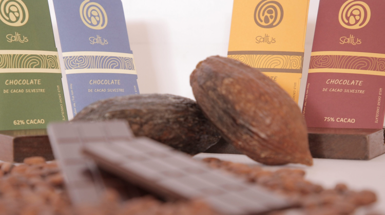 Chocolates Saltus. Foto: saltuschocolate.com