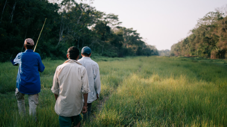 Comunarios de Maraca'tunsi caminan por la pista de aterrizaje que habilitó la empresa San Ambrosio en medio de la Amazonía beniana. Foto: Manuel Seoane.