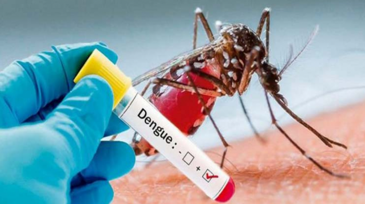 OPS mantiene alerta por epidemia de dengue en América Latina. Foto: OPS