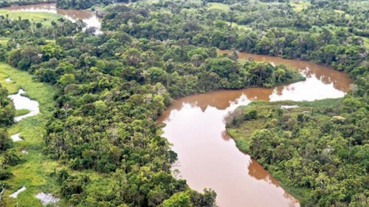 Amazonía en el Beni. Foto: ANF