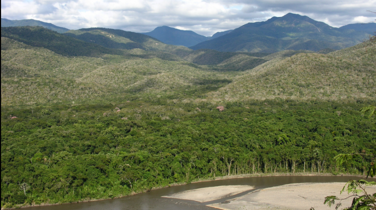 Bosque Seco en la cuenca del río Tuichi en Madidi donde existen especies nuevas de plantas. Foto: L. Cayola