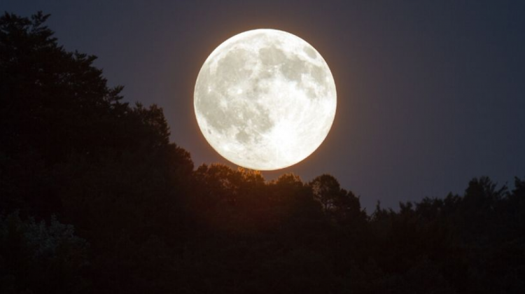 Una toma de una superluna que aparenta ser más grande lo habitual y más brillante por su cercanía a la Tierra.
Foto crédito: 7TeleValencia