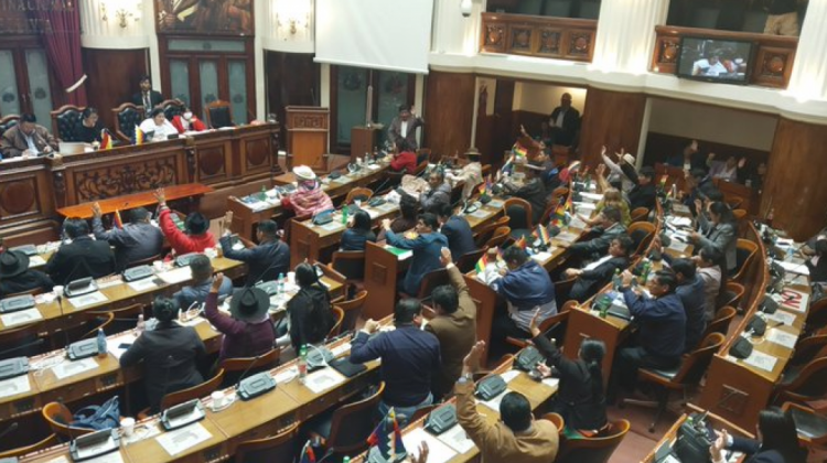 Asamblea Legislativa Plurinacional (ALP). Foto: Senado Bolivia