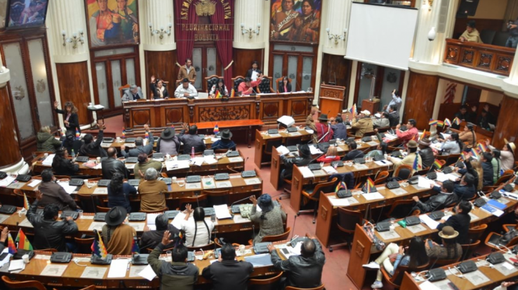 Asamblea Legislativa Plurinacional (ALP). Foto: Senado Bolivia.