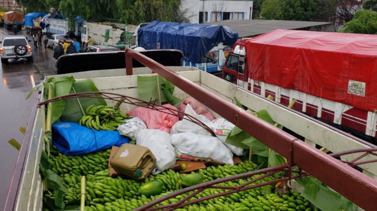 Camiones cargados de frutas. Foto: RKC