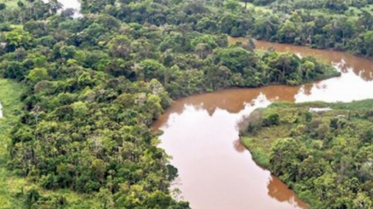 Amazonía continúa siendo saqueada pese a la cuarentena. Foto: ANF