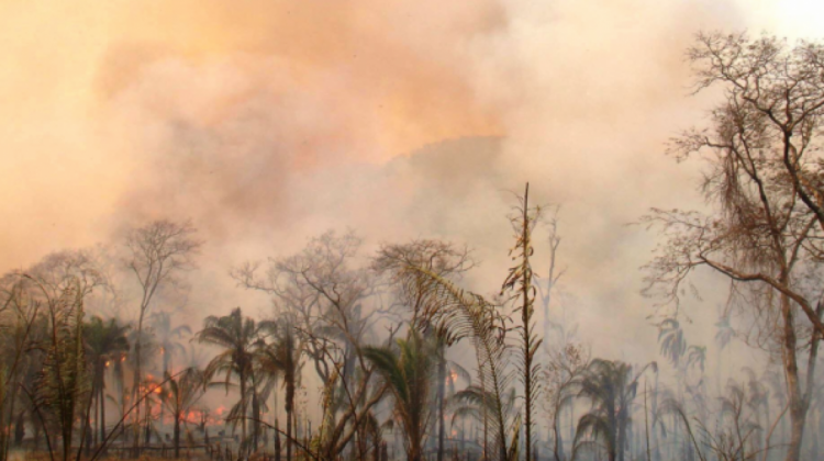 Incendios en la Chiquitanía el 2019. Foto: Archivo ANF