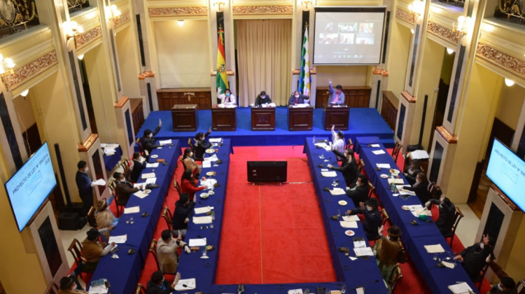 El pleno de la Cámara de Senadores en el Hall de la Vicepresidencia del Estado. Foto: Senado Bolivia.