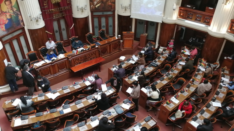 Sesión del pleno de la Cámara de Diputados. Foto: Diputados Bolivia.