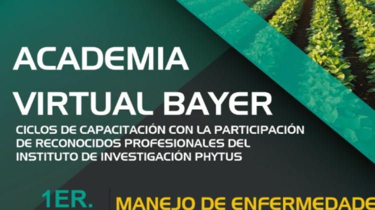 Foto. Bayer