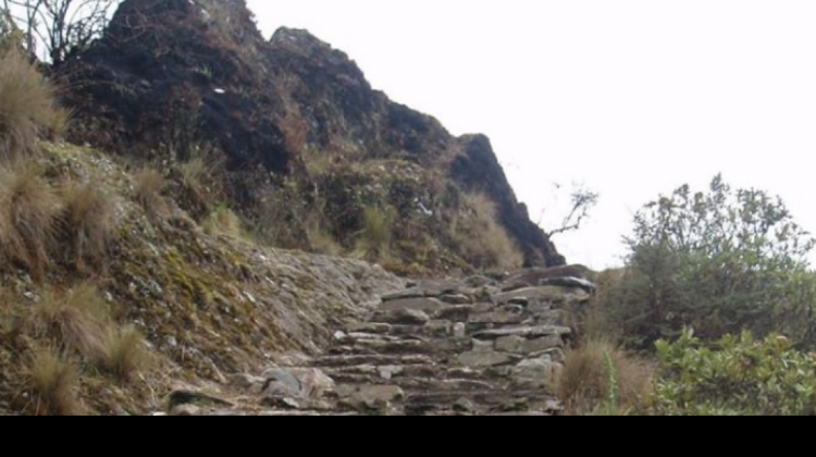 Camino prehispánico Yunga Cruz (Chuñawi), actualmente en riesgo de ser destruido por la actividad minera local. Foto: Juan Carlos Salazar