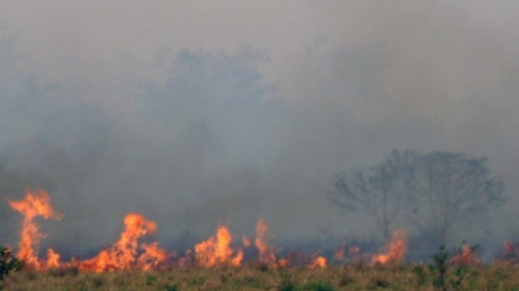 Incendios en la Chiquitanía. Foto. Archivo