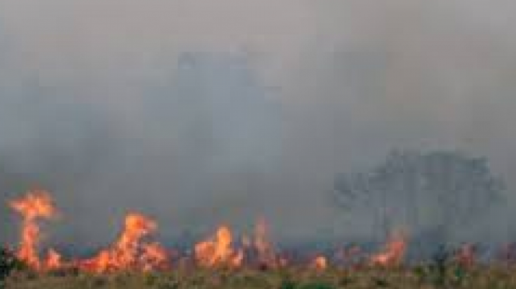 Incendios Chiquitania en 2019. Foto. Archivo