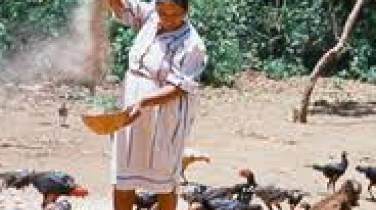 Mujer de la etnia Cayubaba. Foto. Captura