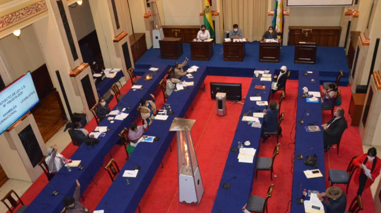 Sesión del Senado en la que se trata la ley. Foto: Senado Bolivia