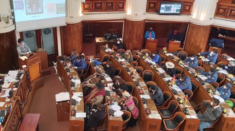 Pleno de la Asamblea Legislativa Plurinacional (ALP). Foto: Senado Bolivia