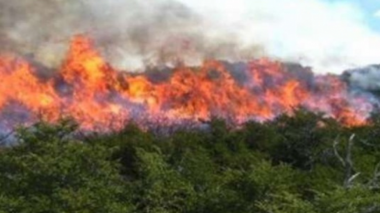 Incendios en la Chiquitanía en 2019. Foto. Archivo