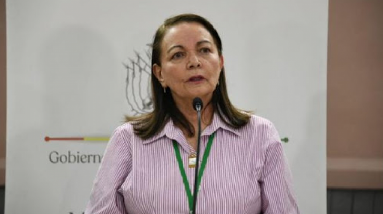 Eidy Roca, ministra de Salud. Foto: Internet.