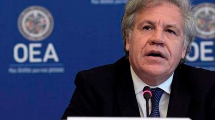 Luis Almagro, secretario general de la Organización de los Estados Americanos (OEA). Foto: OEA