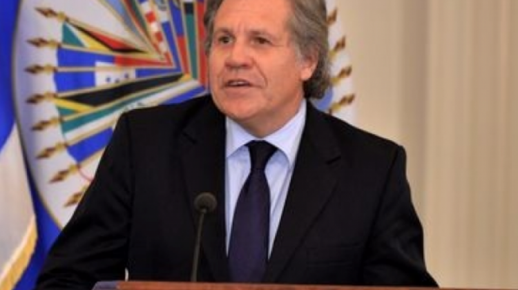 El Secretario general de la OEA, Luis Almagro . Foto: archivo/Internet