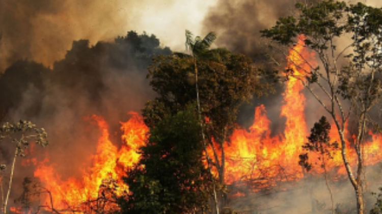 Incendios forestales en la Chiquitanía el 2019. Foto. Archivo