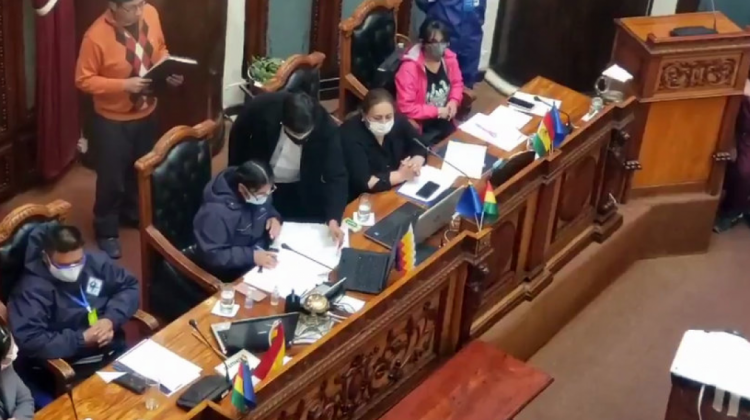 Sesión ordinaria de la Asamblea Legislativa Plurinacional (ALP). Foto: Captura de video.