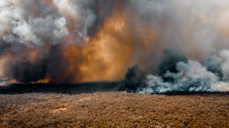 Los incendios forestales afectaron más de cinco millones de hectáreas del Bosque Seco Chiquitano, Chaco, Pantanal y Cerrado. Crédito de foto: Daniel Coimbra (FCBC)