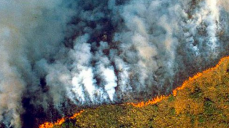 Incendios en la Amazonía de Brasil el 2019. Foto. RRSS