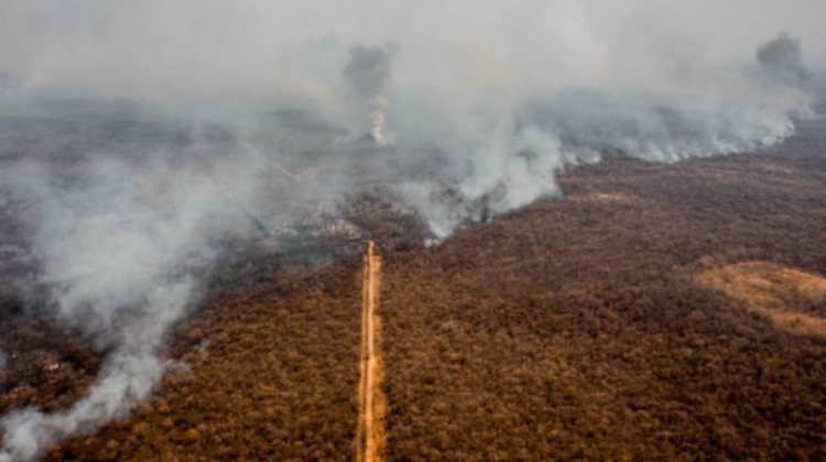 Incendios forestales en la Chiquitanía durante el 2019. Foto. Archivo