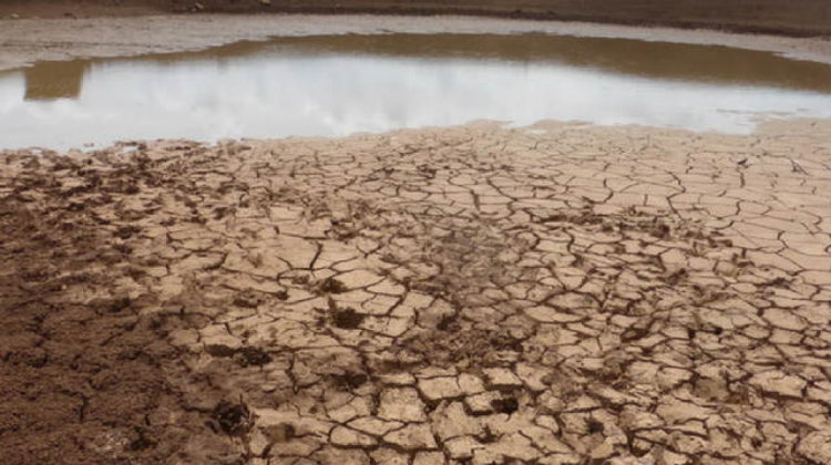 Ya se registran sequías en América Latina. Foto. RRSS