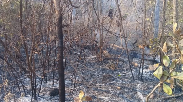 El incendio en la comunidad Holanda del territorio indígena de Lomerío. Foto: Ailin Vaca Diez