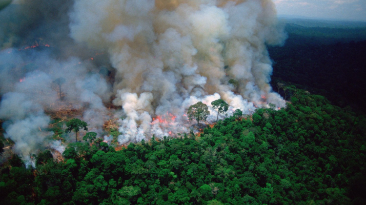 Imagen referencial de un foco de incendio en la Amazonía. CATORCE6