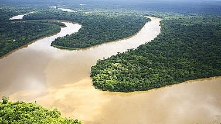 La Amazonía registra altos índices de deforestación. Foto. RRSS