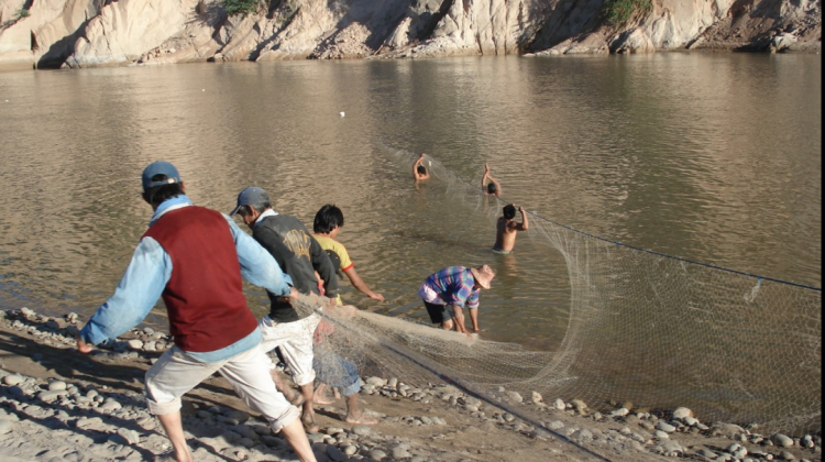 Pesca del sábalo, un pez migratorio con el uso de red de arrastres en el río Pilcomayo. Foto: Gustavo Álvarez